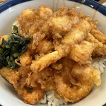 Tendon Tenya - 