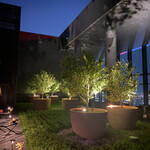 ブルガリ バー - 