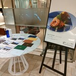 代官山ASO チェレステ - 