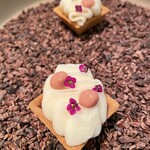 Installation Table ENSO L'asymetrie du calme - 