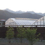 炭火焼き うなぎの店 旦 - 食事場所からの眺望（夕方）