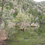 炭火焼き うなぎの店 旦 - 明神池