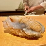 鮨 はしもと - 2023.4.  鳥貝