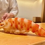 鮨 はしもと - 2023.4. 車海老