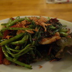 ケニーアジア - 空芯菜