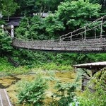 本家伴久 - 露天風呂から”かずら橋”を望む (2013.Jul)