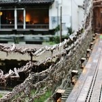 本家伴久 - ”かずら”がもうないそうで…（2013.Jul)