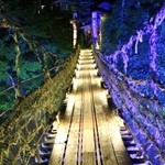本家伴久 - ライトアップされた”かずら橋” (2013.Jul)