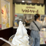 Sugiyouhouen - 蜂蜜屋併設のソフトクリーム屋さん。はちみつかけはカップオンリー