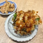 手打 親鶏中華そば 綾川 - 