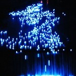 本家伴久 - かわあかり (2013.Jul)