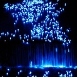 本家伴久 - かわあかり (2013.Jul)