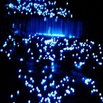 本家伴久 - 幻想的な世界が広がる (2013.Jul)