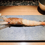 隼 - 香りの層(牡丹海老)