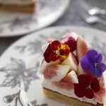 マコトエバラ×モンレアル - 