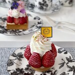 マコトエバラ×モンレアル - 