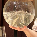 料理屋 植むら - 長野県　天竜　稚鮎