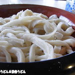 手打うどん 松屋 - 2013年8月　うどん　アップ