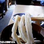 手打うどん 松屋 - 2013年8月　うどん　さらにアップ