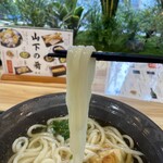 Yamashita Honki Udon - 221126鶏天うどん840円大盛り