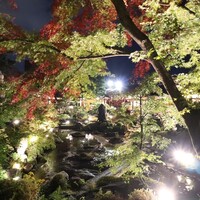 がんこ 高瀬川二条苑 - 