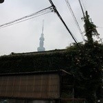 スパイスカフェ - 屋根の上にスカイツリー