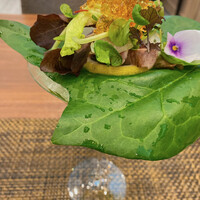 寿司割烹 「ともづな」 ヒルトン福岡シーホーク - 