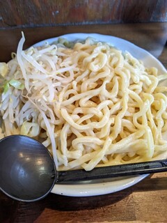 Ikeya Seinikuten - 武蔵野うどん系の麺   麺多め300g