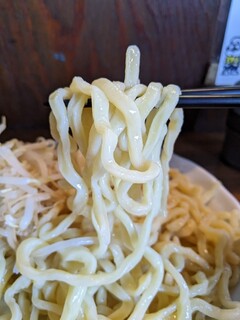 Ikeya Seinikuten - 極太ワシワシ麺