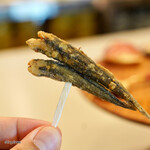 Anchoa - 