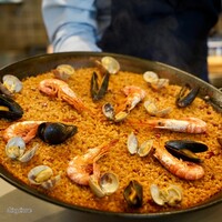 anchoa - 
