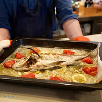 anchoa - 