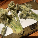 居食屋 わいるどふぁーむ  - 