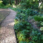 サクラマナーハウス ティールーム - 裏庭