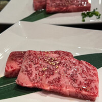 老舗精肉店直送 千種焼肉 飛騨牛の奴隷 千種店 - 