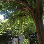 レ・ザンジュ - 店舗