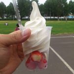 八紘学園 農産物直売所 - 【2013年06月】いちごソフト＠300円。