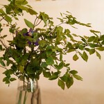 カフェ ド パブロ - 花が生けてある善き