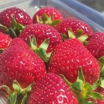 카루이자와 가덴팜 이치고엔 - 