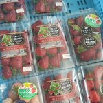 카루이자와 가덴팜 이치고엔 - 