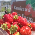 카루이자와 가덴팜 이치고엔 - 