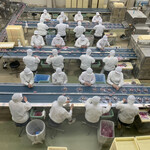 グリーンアウトレット1/2 - 2023/05 