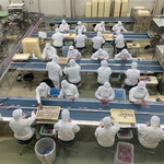 グリーンアウトレット1/2 - 2023/05 