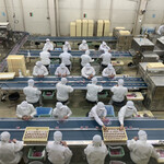 グリーンアウトレット1/2 - 2023/05 