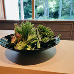 成生 - 山菜　こごみ、タラの芽、コシアブラ