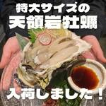 [Limited quantity] Extra large! Amakusa Tenryoiwa Oyster