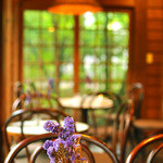 ミハエル - 弱い雨が降った2013年7月のMichaelにて