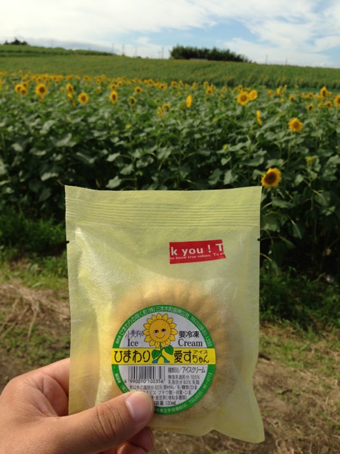 ひまわりの丘 売店 - 古川（その他）の写真