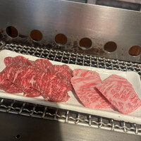 赤身焼肉 かるびあーの 新橋店 - 