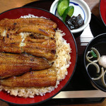 浜松 - うなぎ丼「上」大盛り　